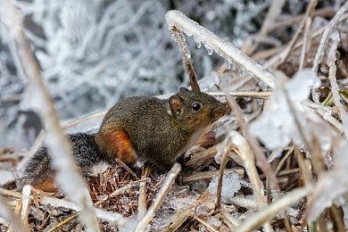 《MLB The Show 22》发布全新预告 介绍新作里的传奇球员